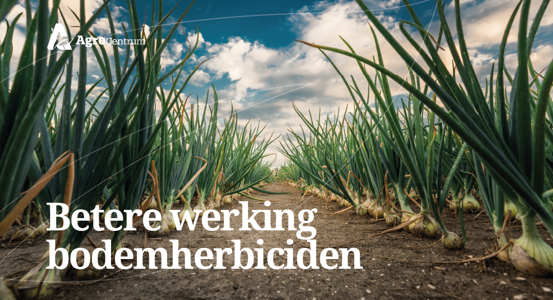 Grounded AgroForum